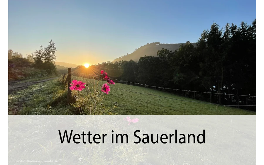 Wetter