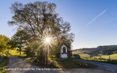 Sauerland Seelenort Lausebuche