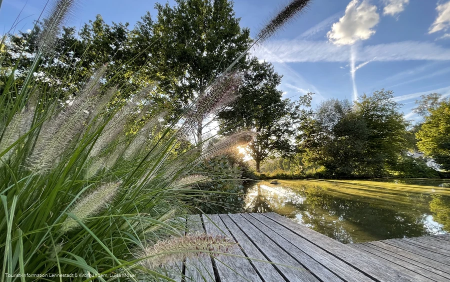 Steg am Kurparkteich