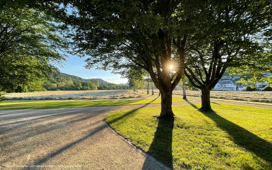Sonnenuntergang im Kurpark